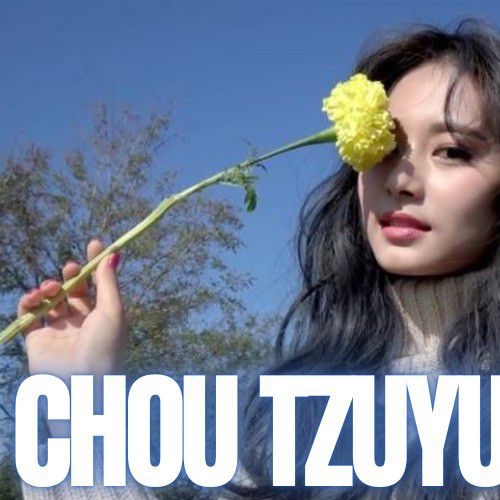 쯔위 (TWICE) 팬이 찍은 순간