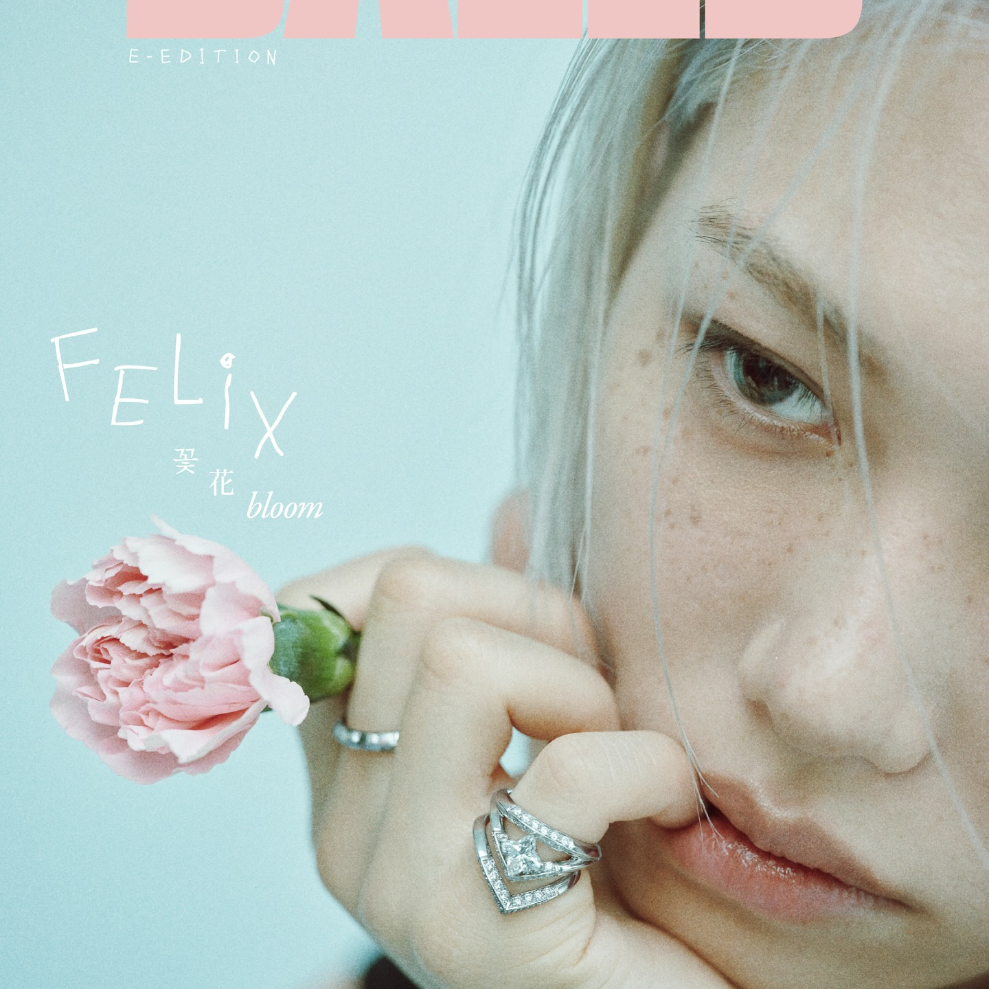 Foto terbaru Stray Kids