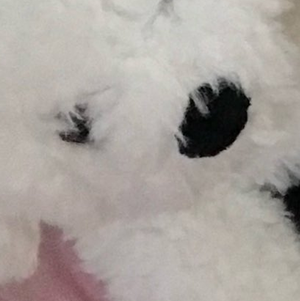 Recent activity shot of Go Won (Loossemble)