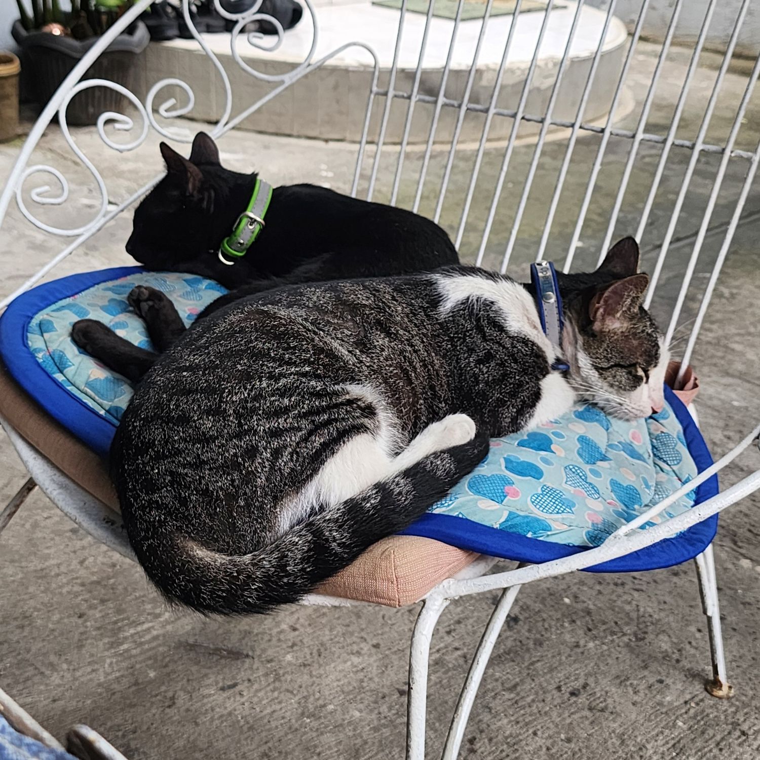 세븐틴 최근 활동샷