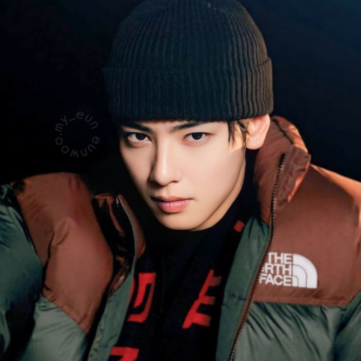 A moment captured by Eunwoo (ASTRO)'s fan