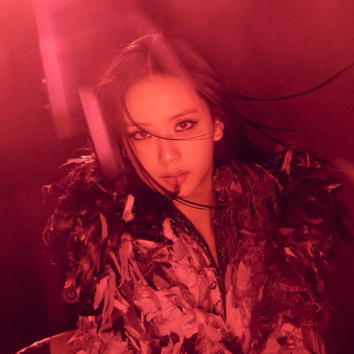 BLACKPINK 팬이 찍은 순간