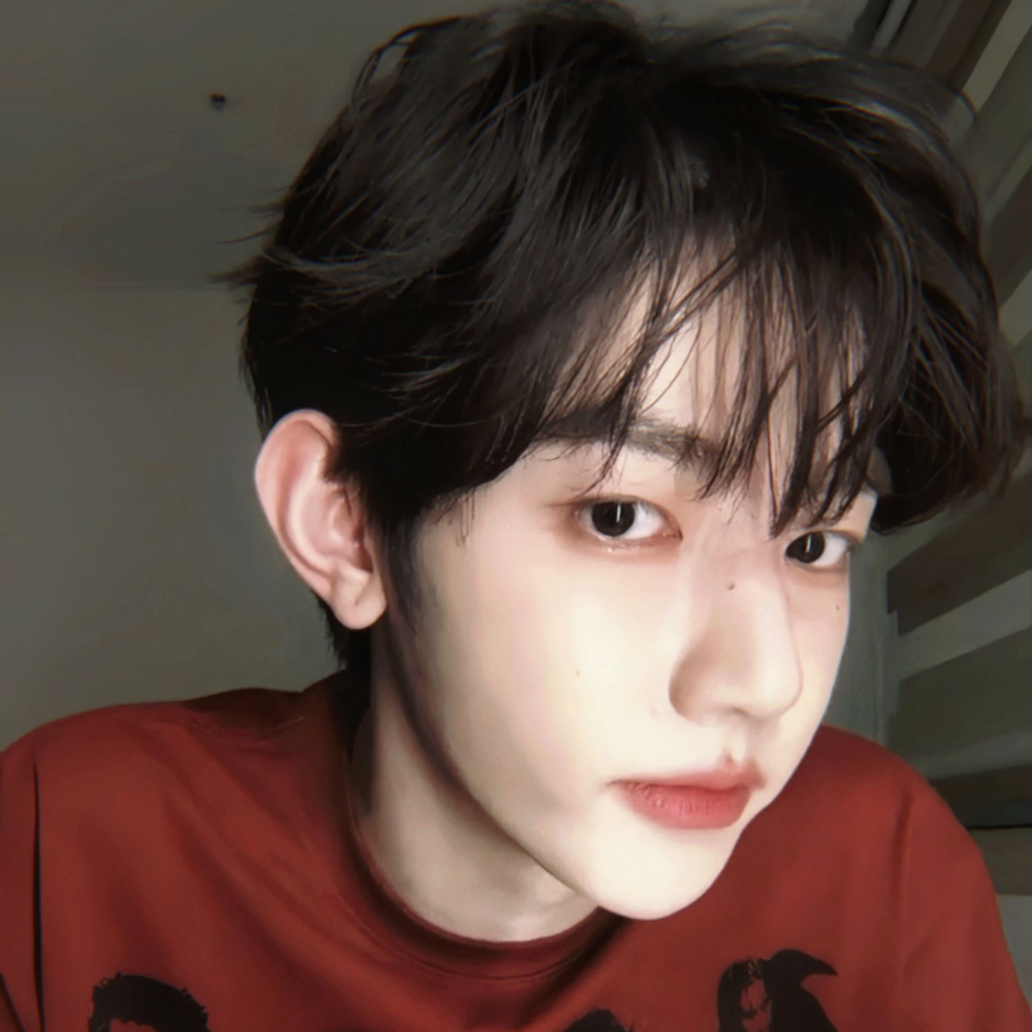 Latest photo of Zhang Hao (ZEROBASEONE)