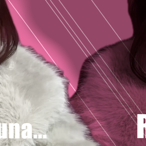 A moment captured by Sakaguchi Rino (IS:SUE)'s fan