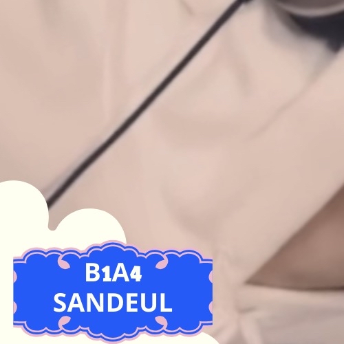 Foto terbaru Sandeul (B1A4)