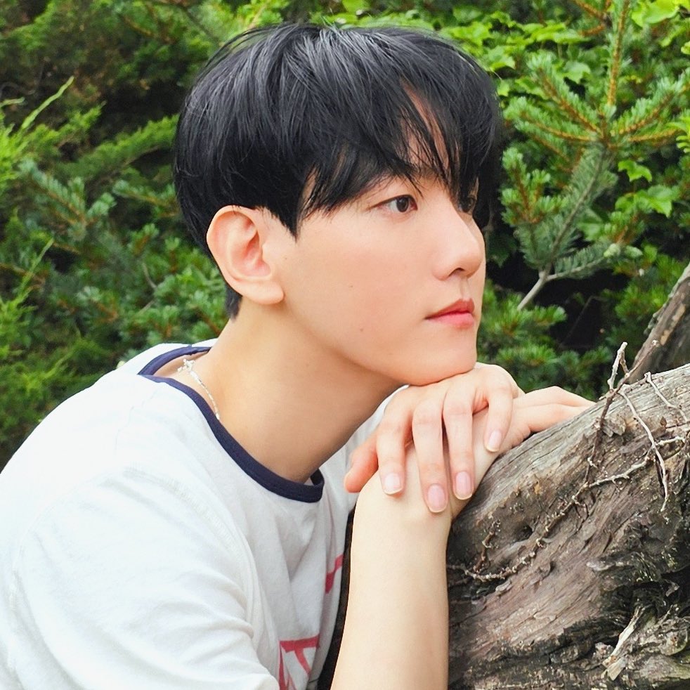 백현 (EXO) 팬이 찍은 순간