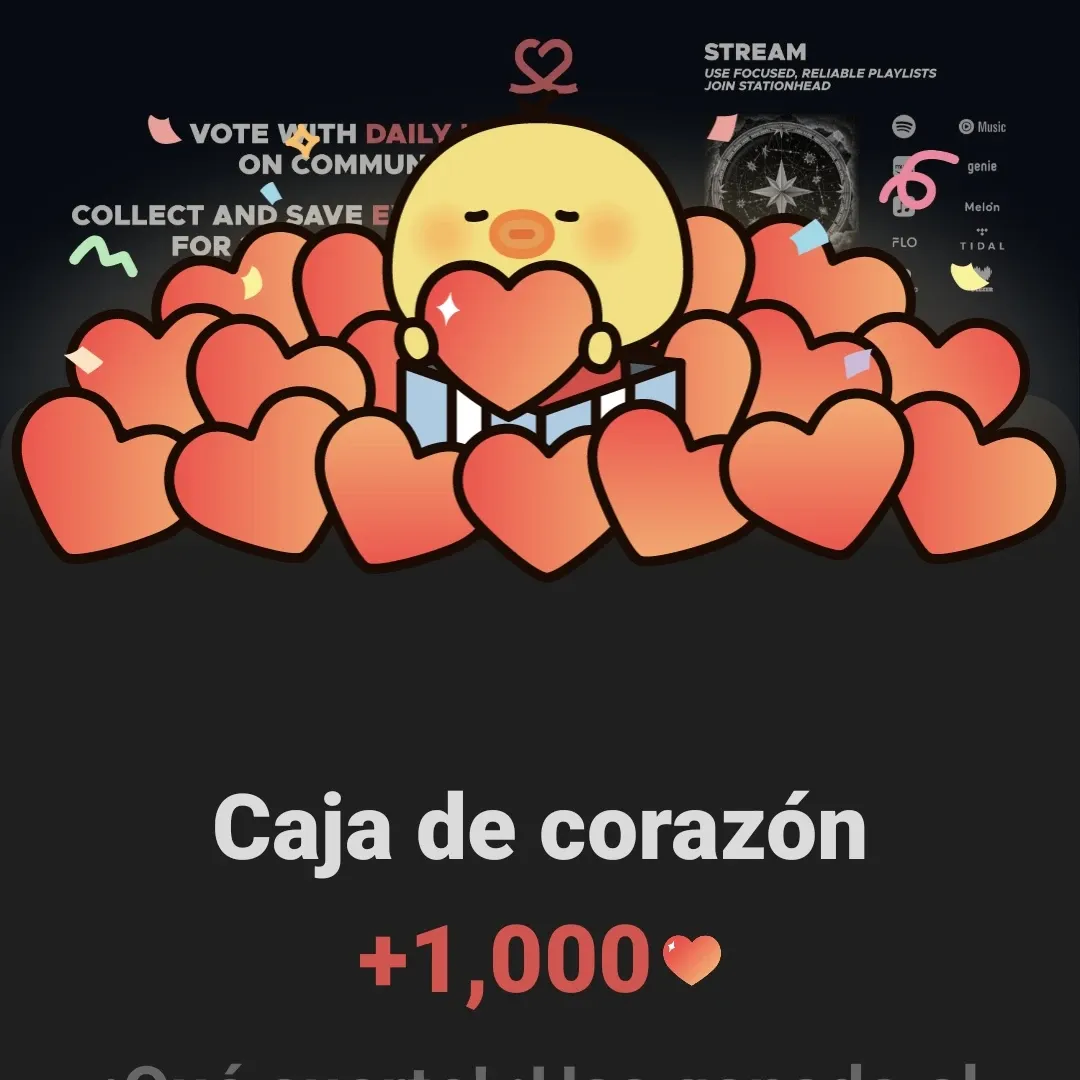 Stray Kids 팬이 찍은 순간