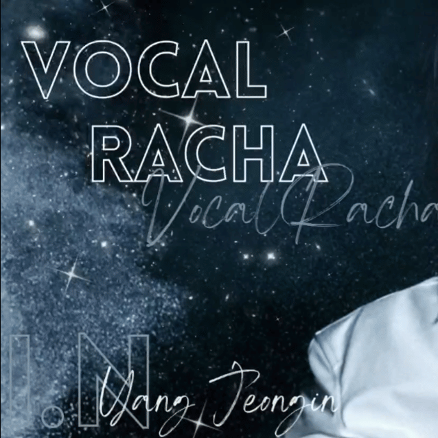 A moment captured by I.N (Stray Kids)'s fan