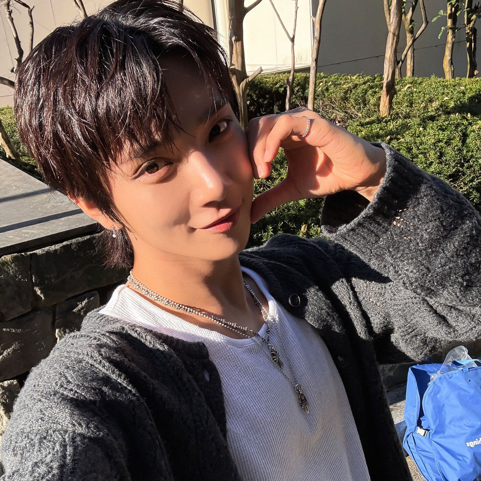 세븐틴 팬이 찍은 순간