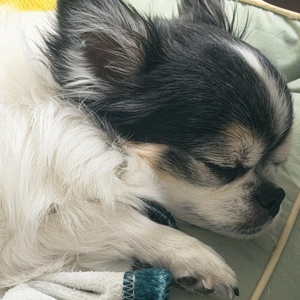 Behind-the-scenes cut of Stray Kids