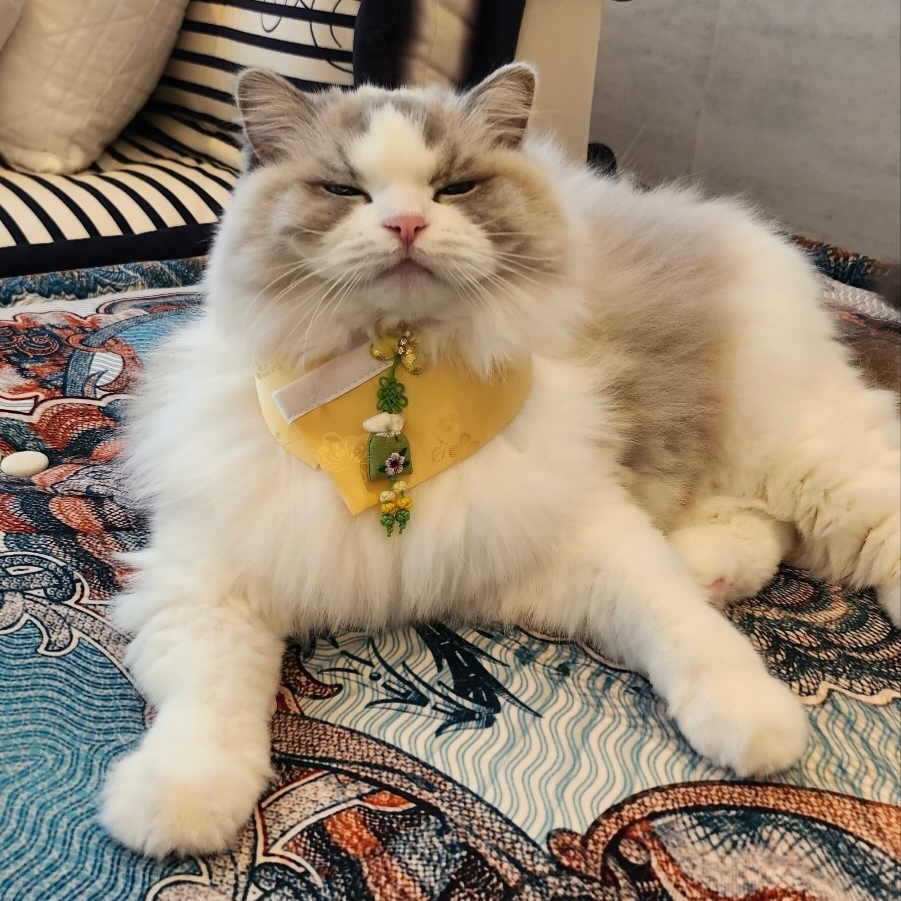 渽民 (NCT DREAM)粉絲拍下的瞬間