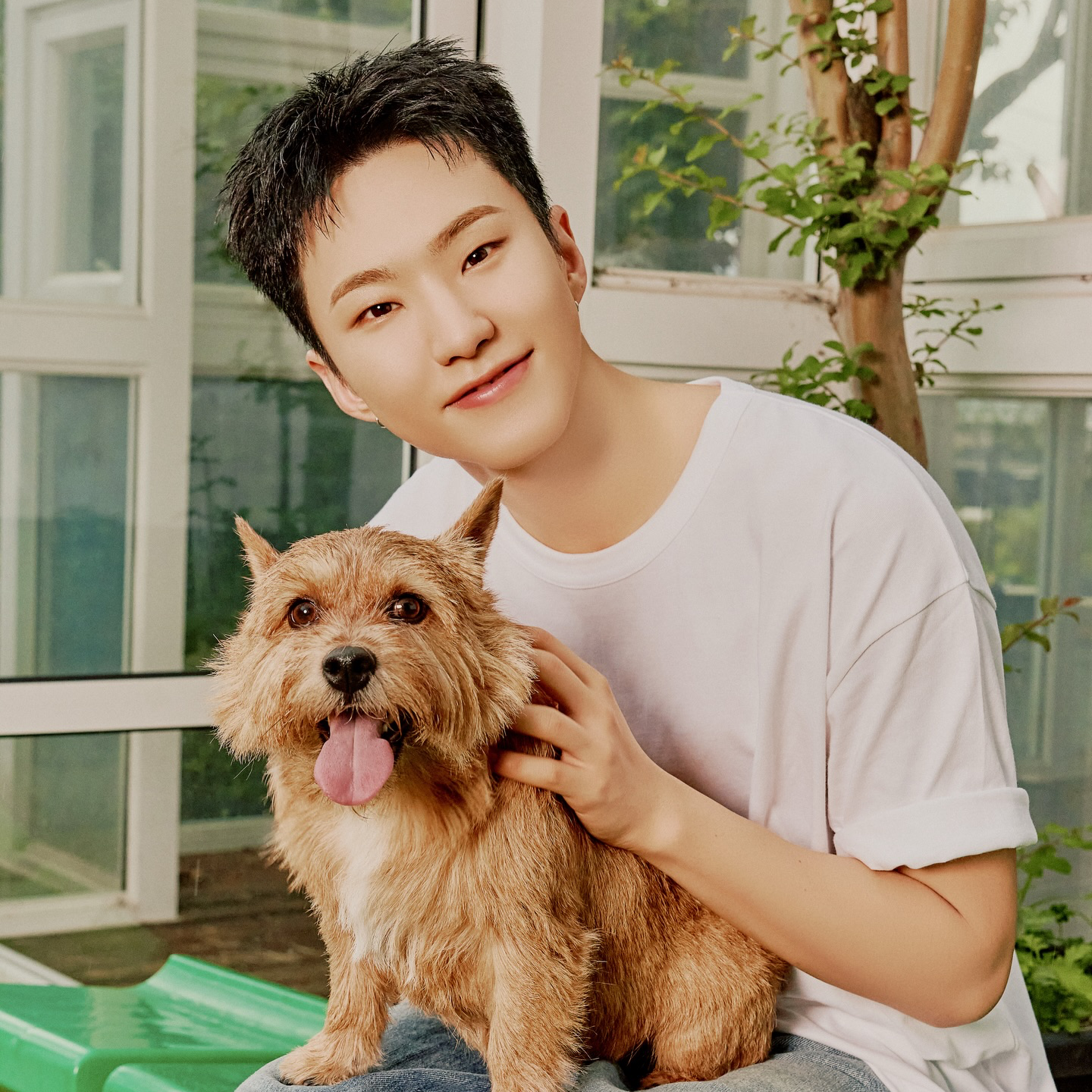 Recent activity shot of Hoshi (SEVENTEEN)