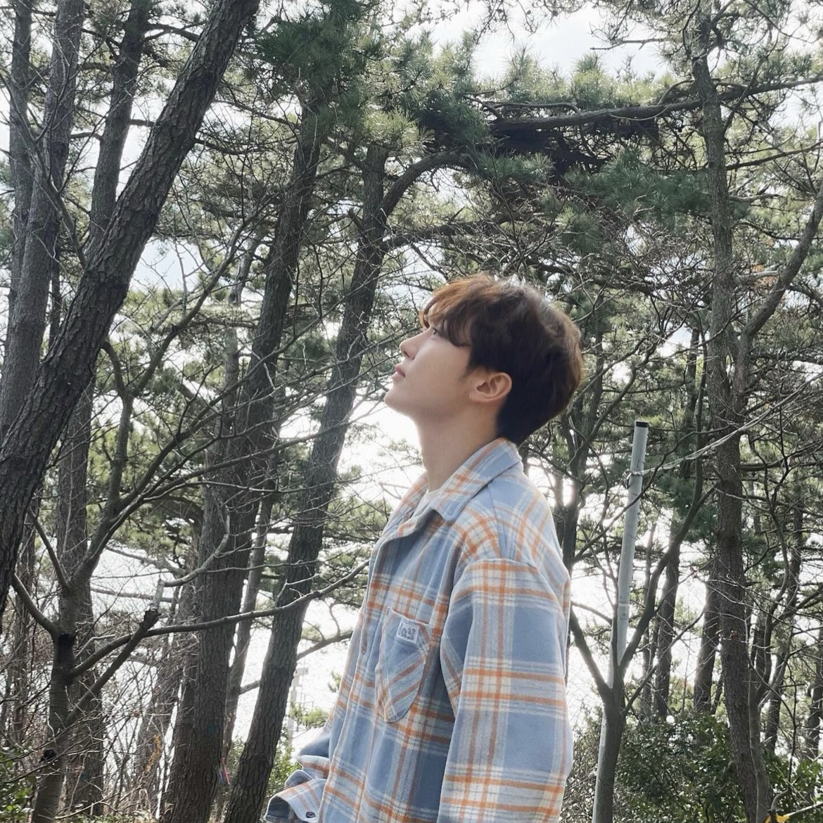 세븐틴 팬이 찍은 순간