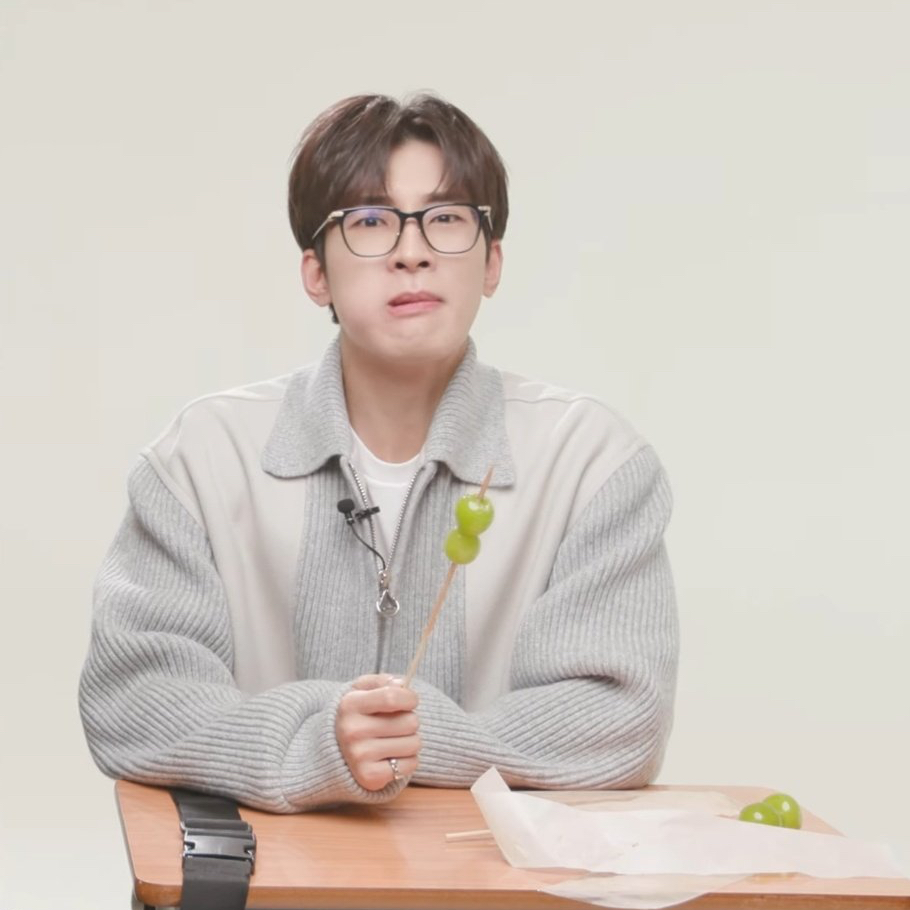 Recent activity shot of Wonwoo (SEVENTEEN)