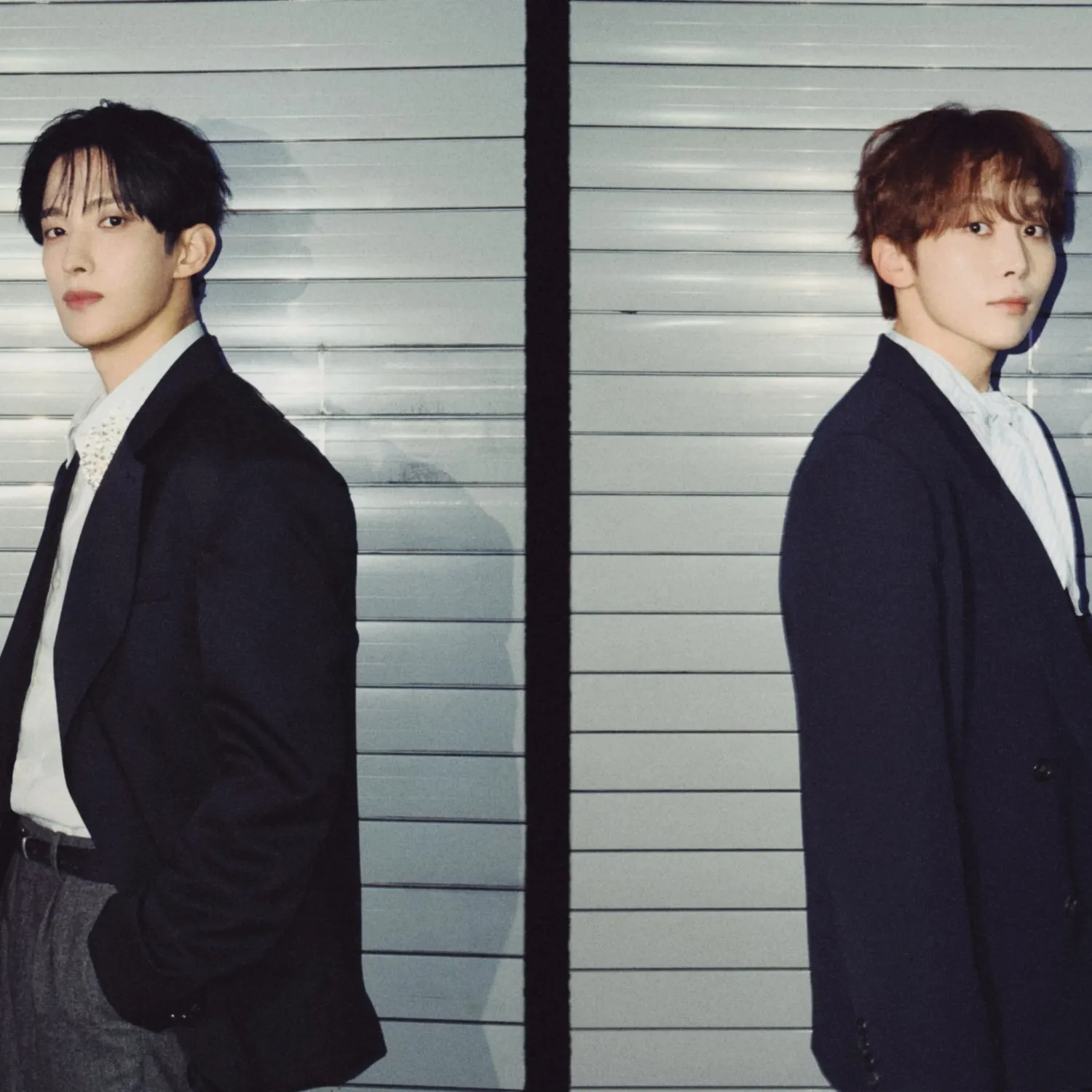 세븐틴 팬이 찍은 순간