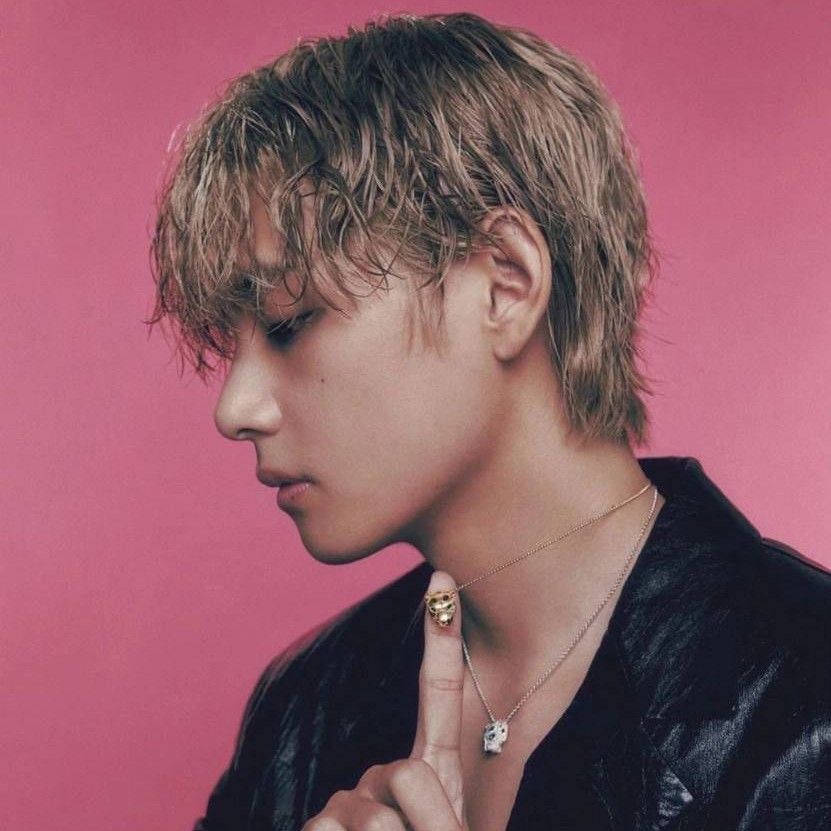 V (BTS)の舞台裏ショット