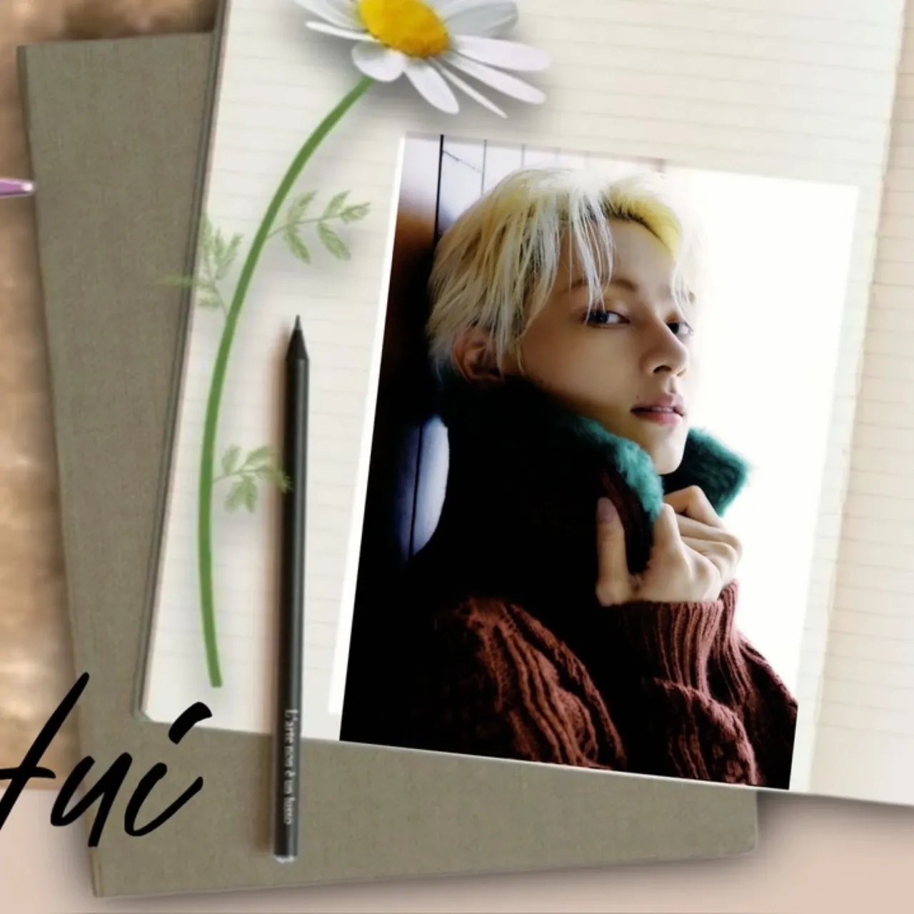 A moment captured by Jun (SEVENTEEN)'s fan