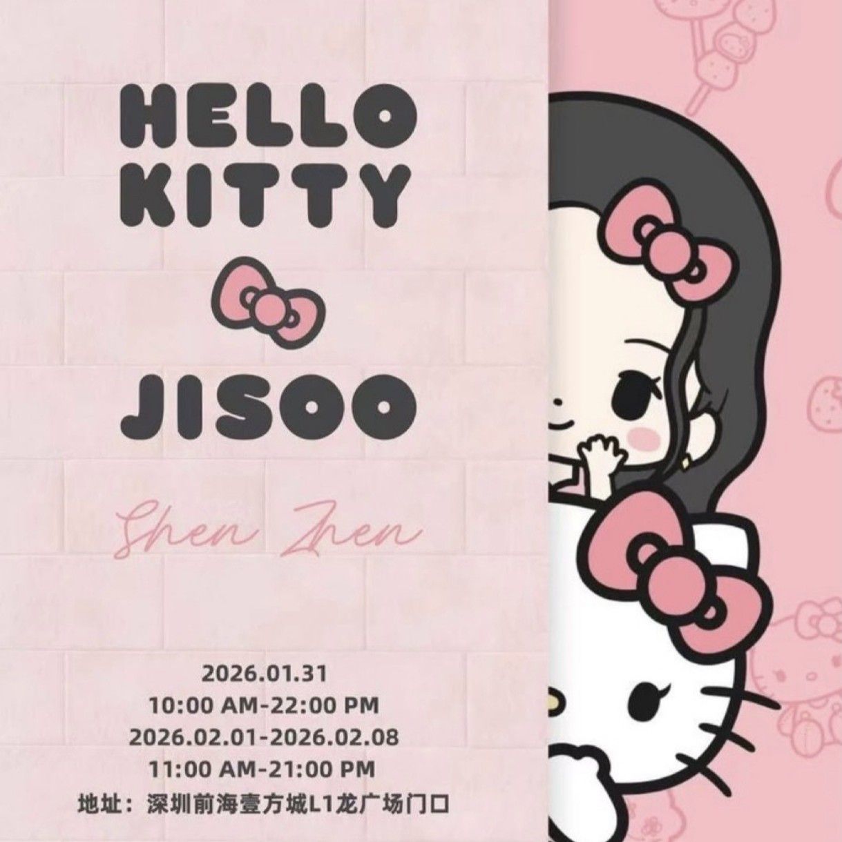 BLACKPINK粉絲拍下的瞬間