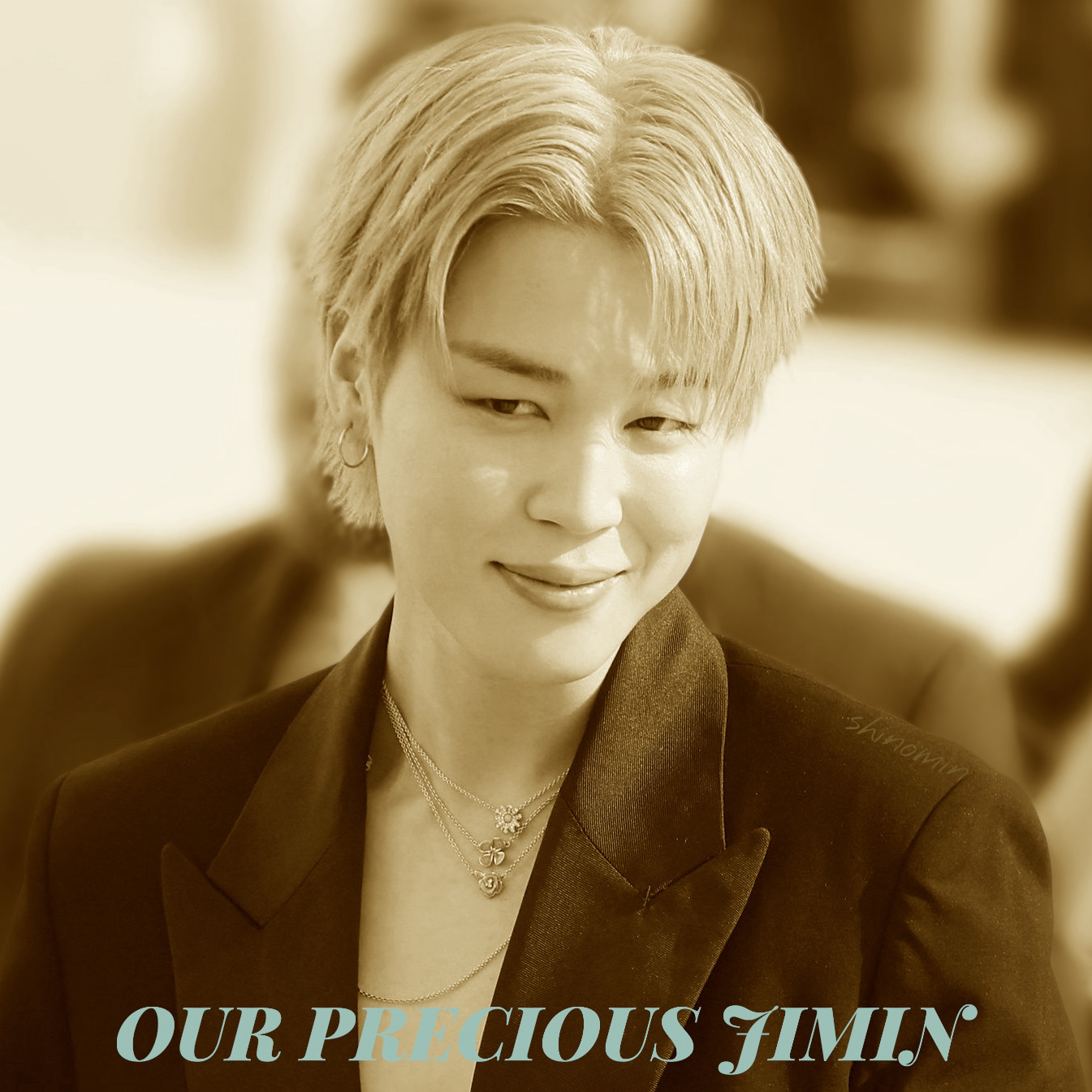 지민 (방탄소년단) 팬이 찍은 순간