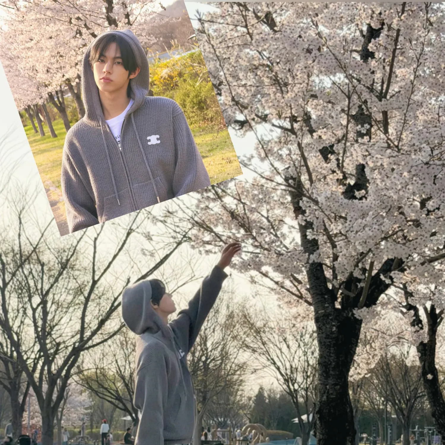 A moment captured by TWS's fan