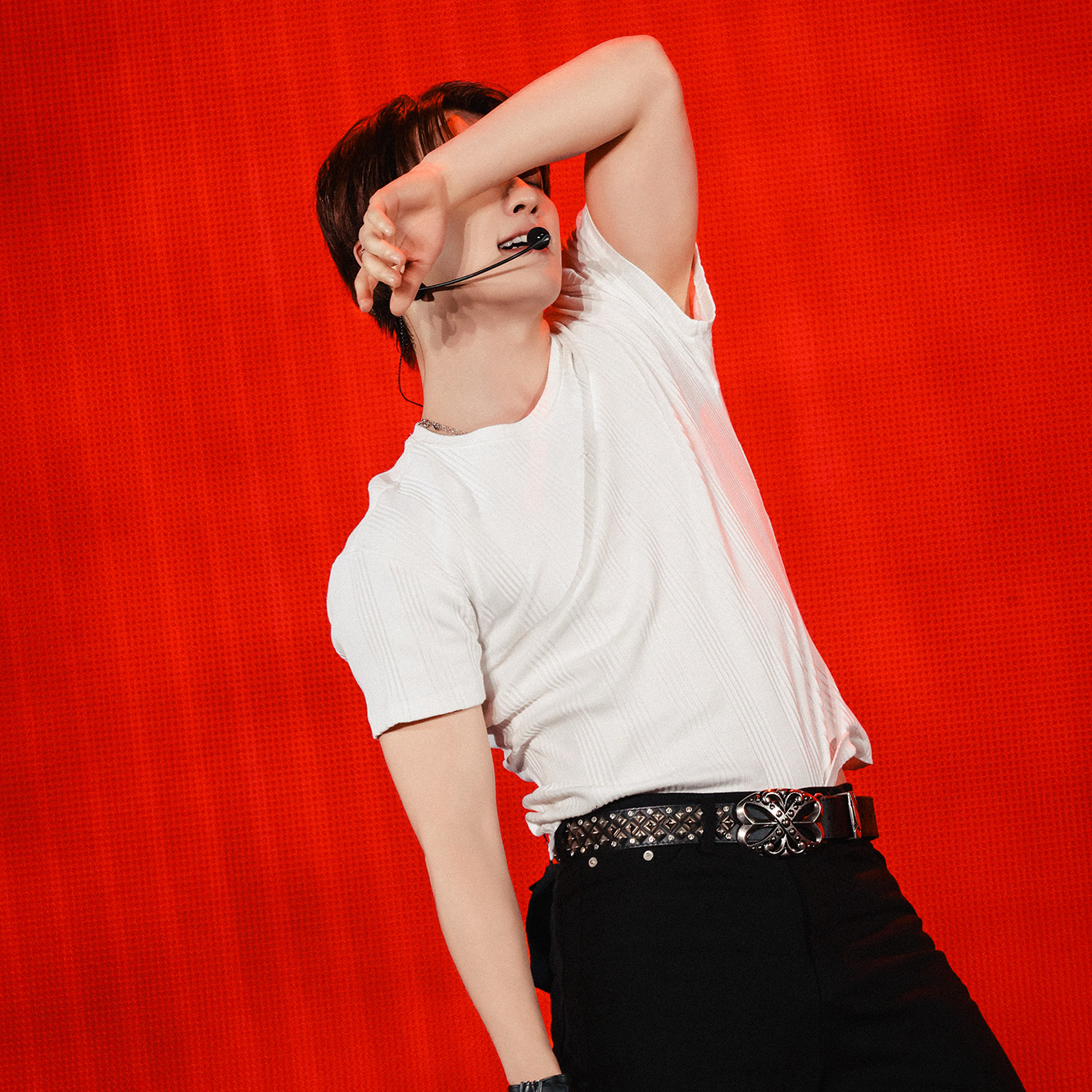 세븐틴 팬이 찍은 순간