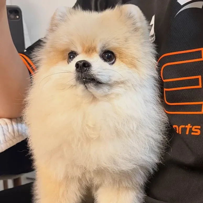 Behind-the-scenes cut of Moonbin (ASTRO)