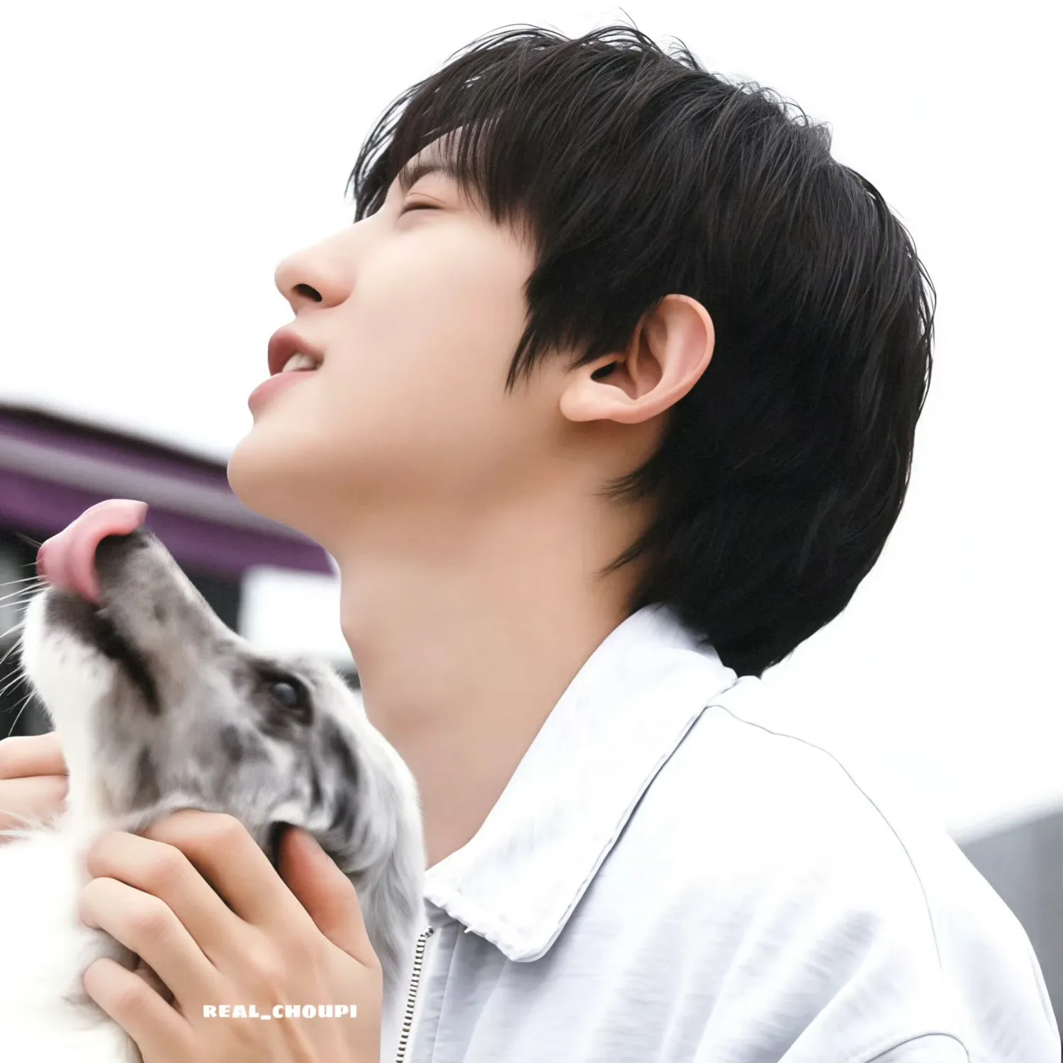 찬열 (EXO)의 비하인드 컷