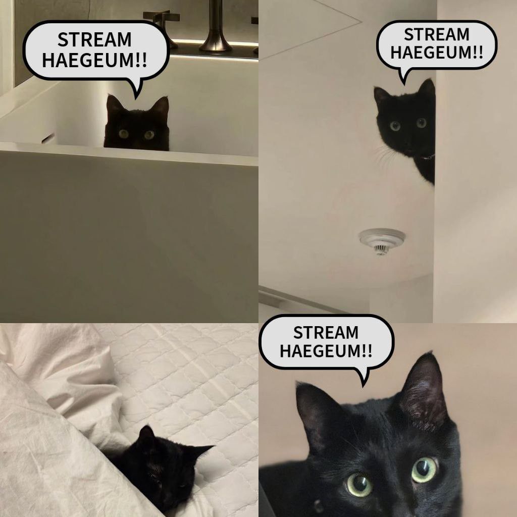 SUGA (BTS)ファンが撮った瞬間