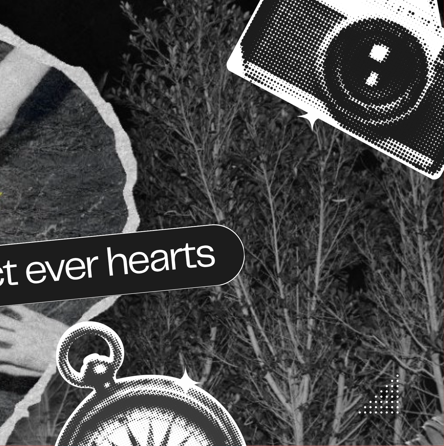 ENHYPEN 팬이 찍은 순간