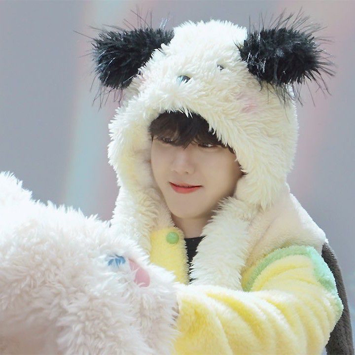 伯賢 (EXO)的最新活動照片