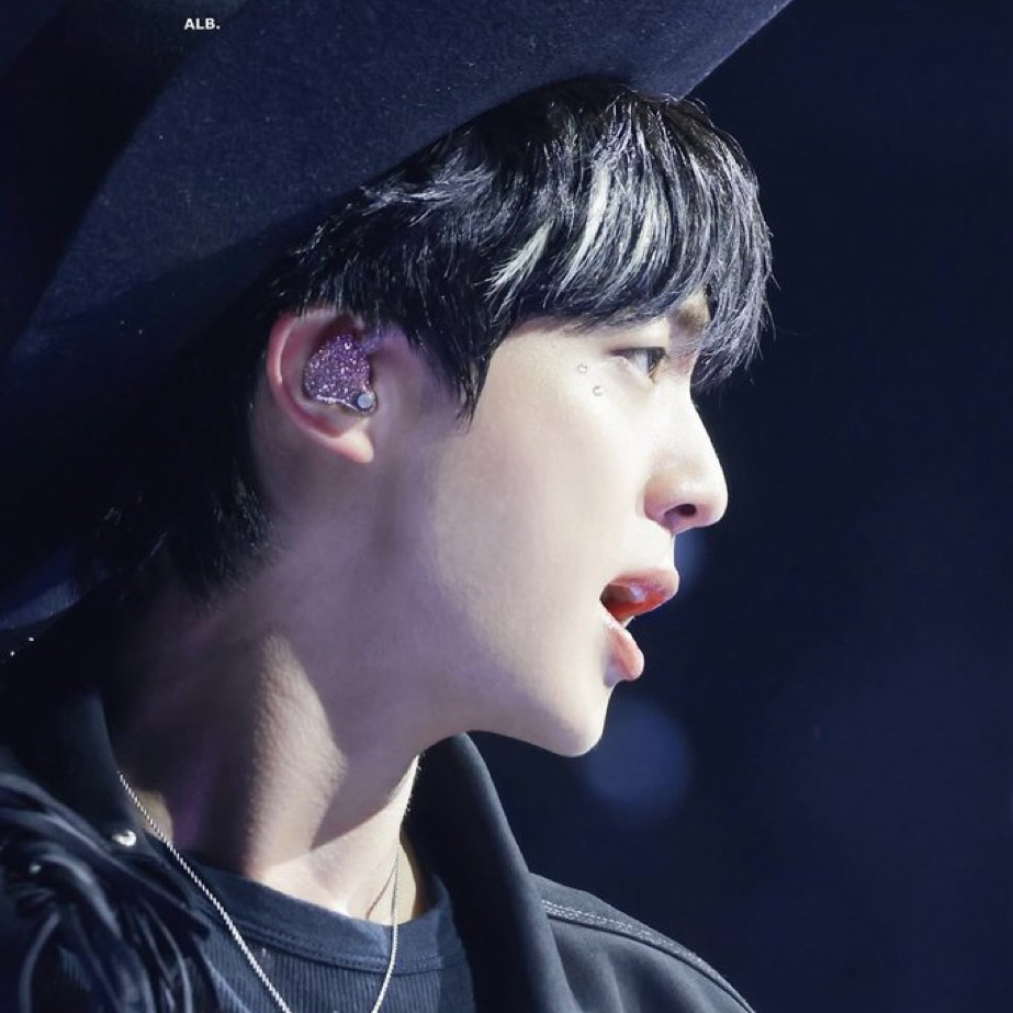 진 (방탄소년단) 팬이 찍은 순간