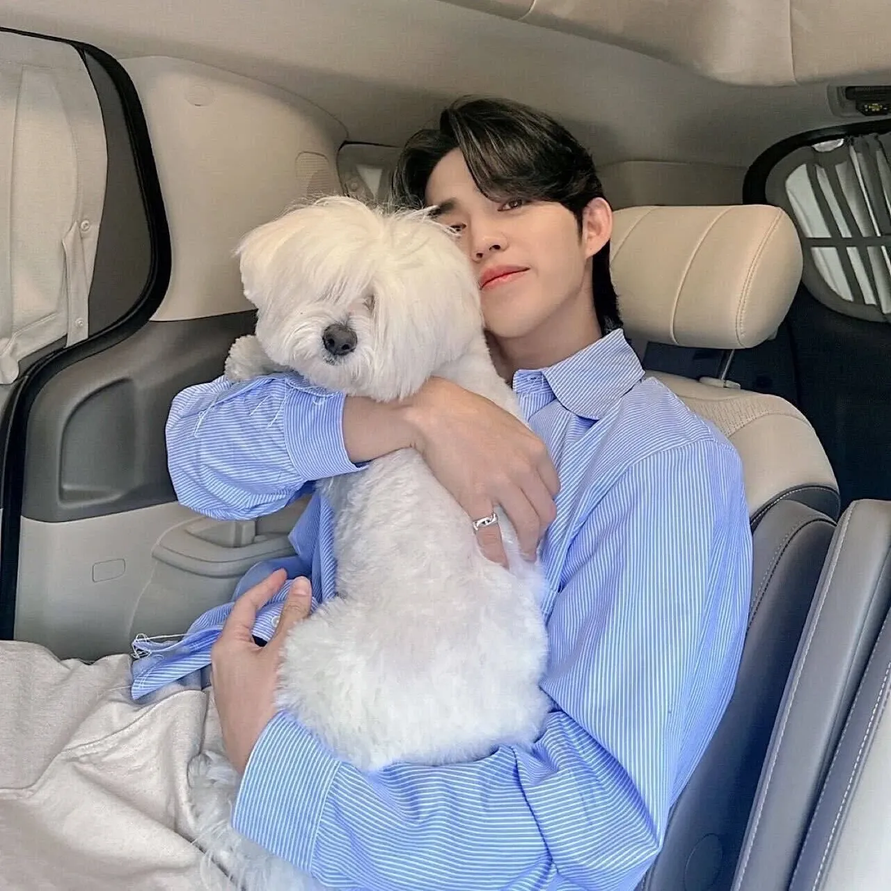 세븐틴의 비하인드 컷