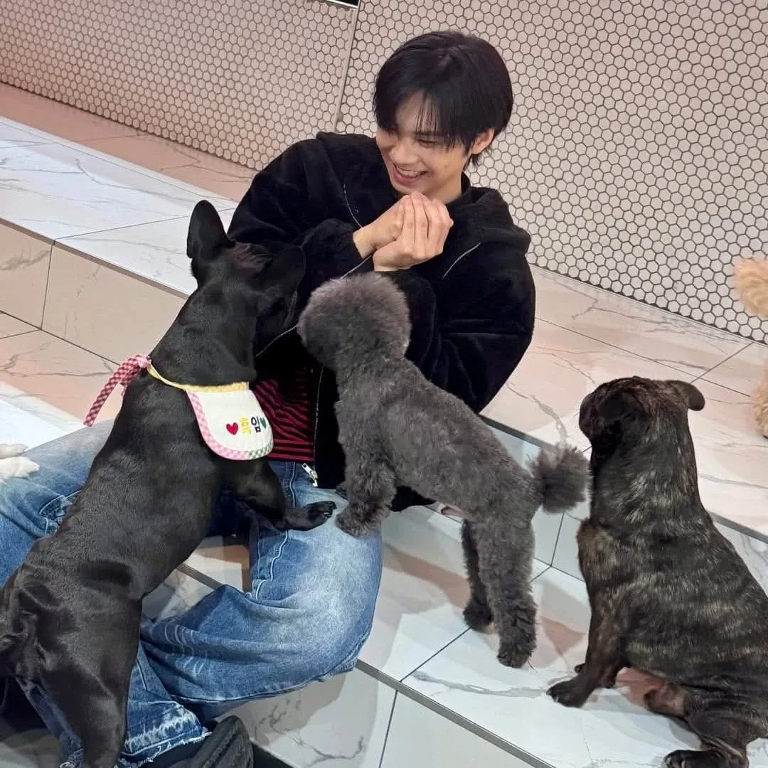 Rocky粉丝拍下的瞬间