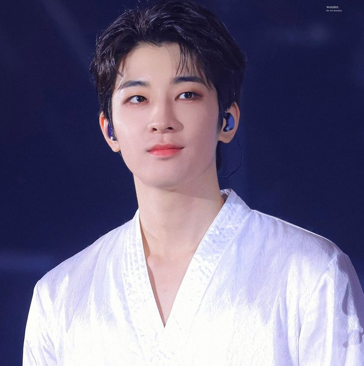 A moment captured by Wonwoo (SEVENTEEN)'s fan