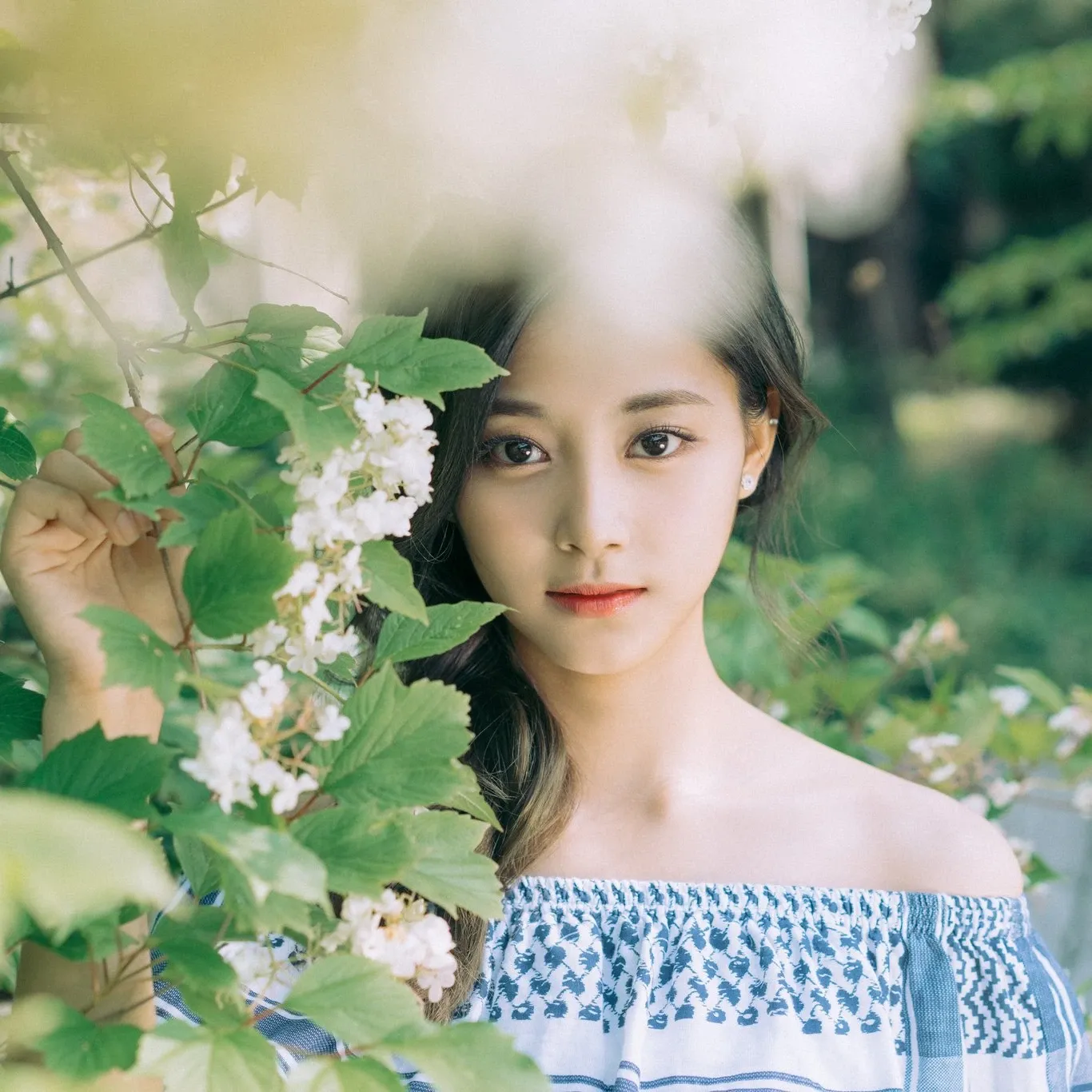 쯔위 (TWICE) 팬이 찍은 순간