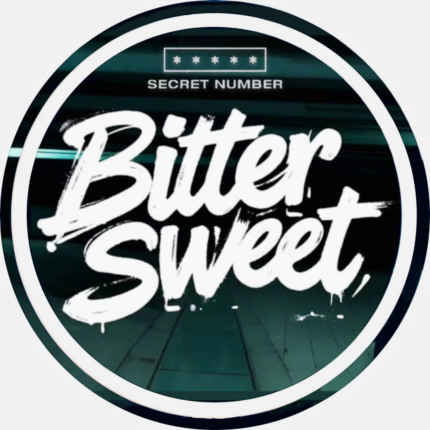 Latest photo of SECRET NUMBER