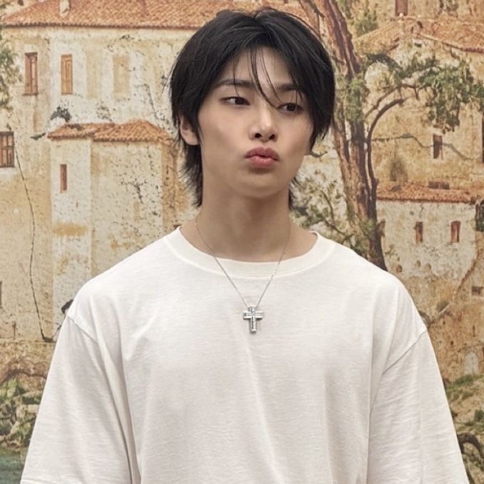 A moment captured by I.N (Stray Kids)'s fan