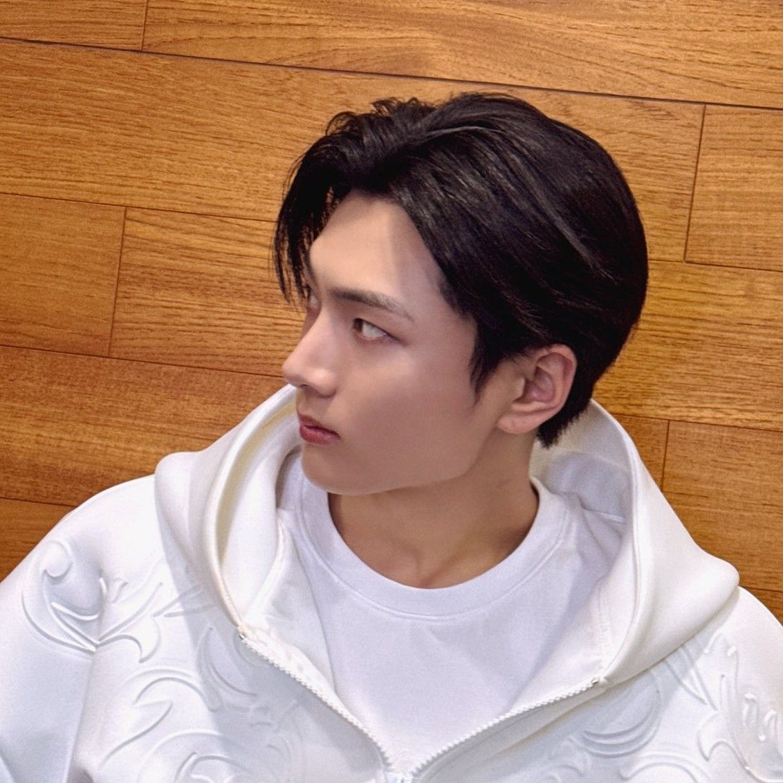 ENHYPEN 팬이 찍은 순간