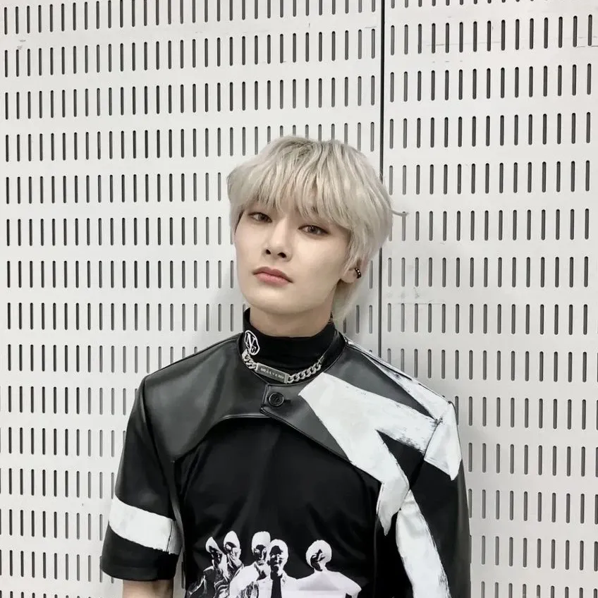 Stray Kids 최근 활동샷