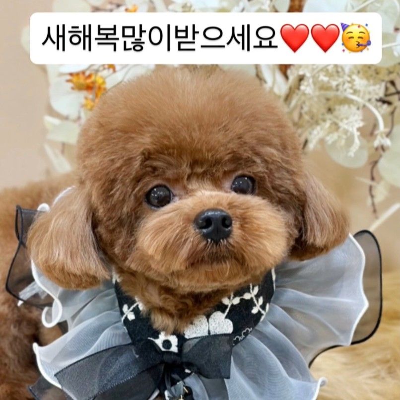 A moment captured by Wow (A.C.E)'s fan