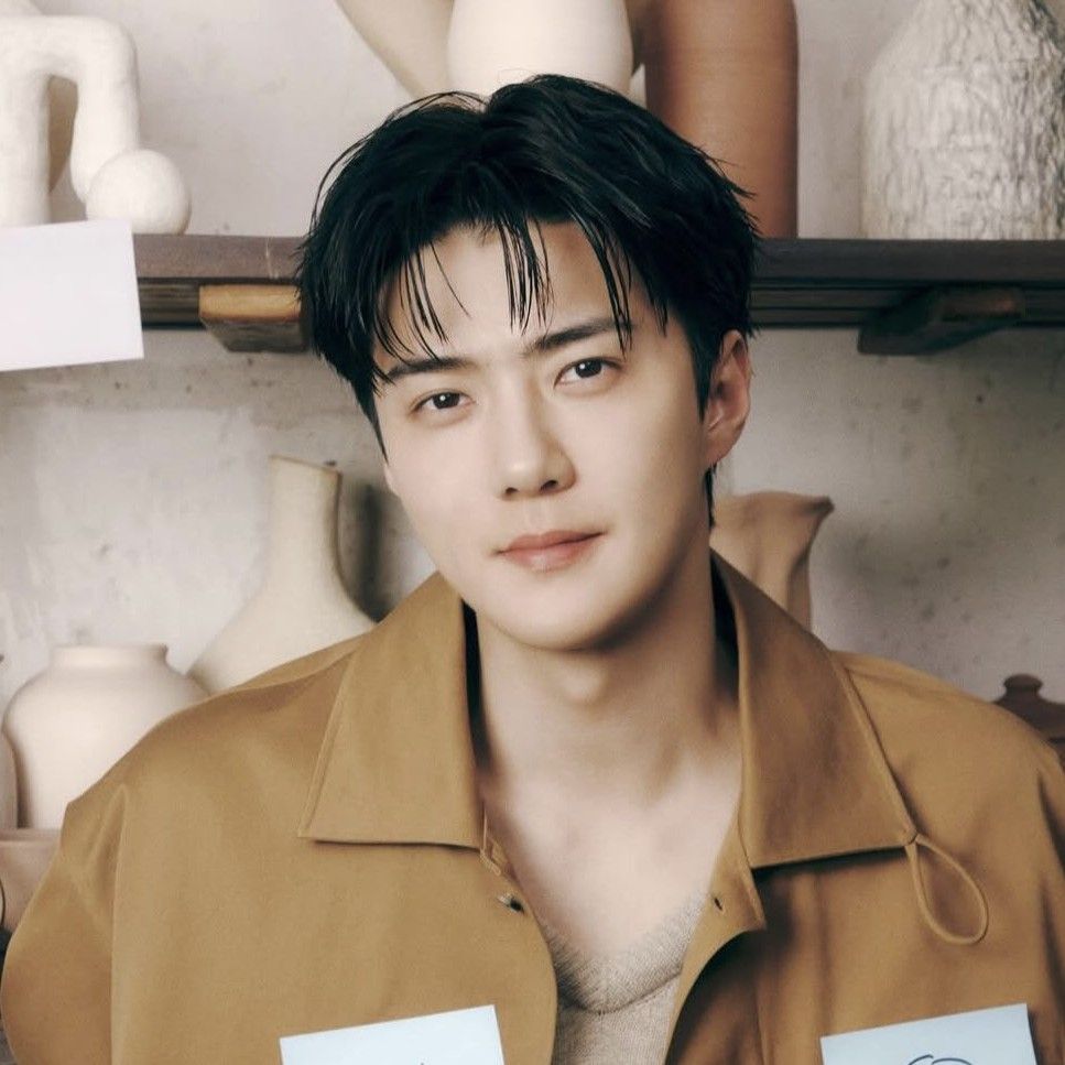 Potret di balik layar Sehun (EXO)