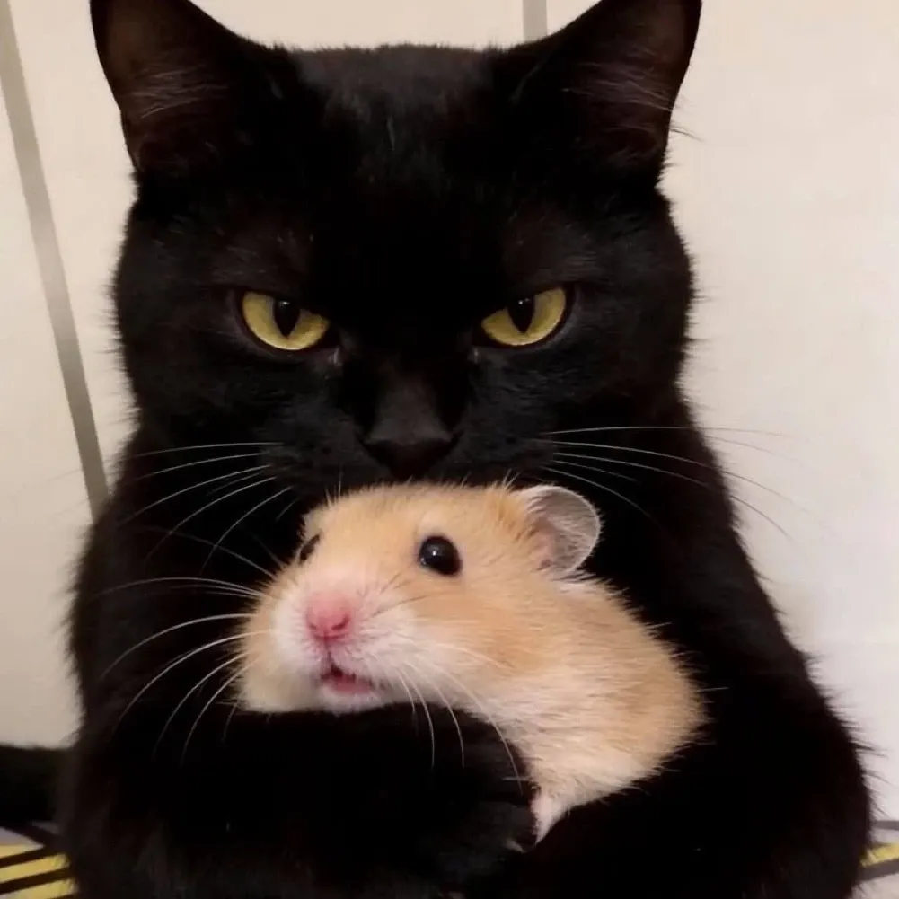 Stray Kids의 최신 사진