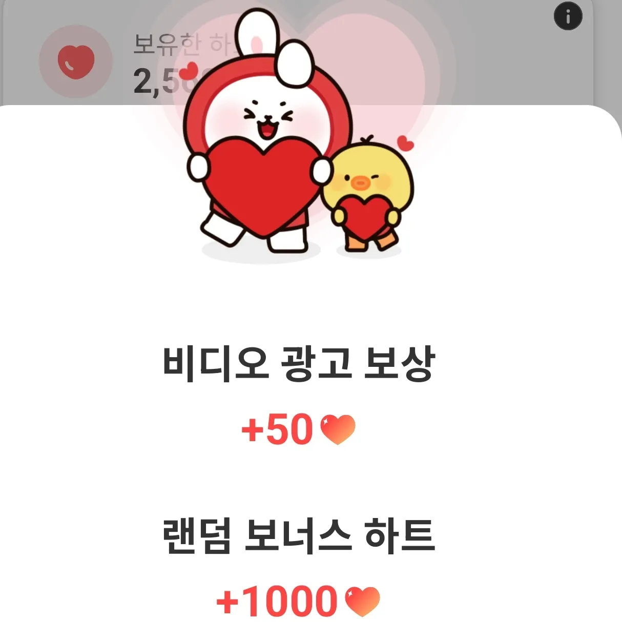 로운의 최신 사진