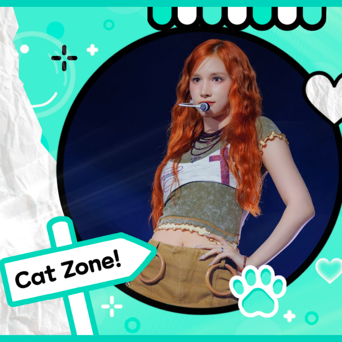 community_articles_contents