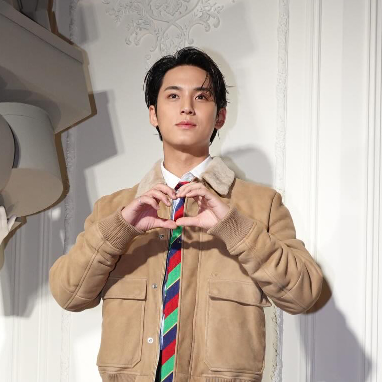 A moment captured by SEVENTEEN's fan