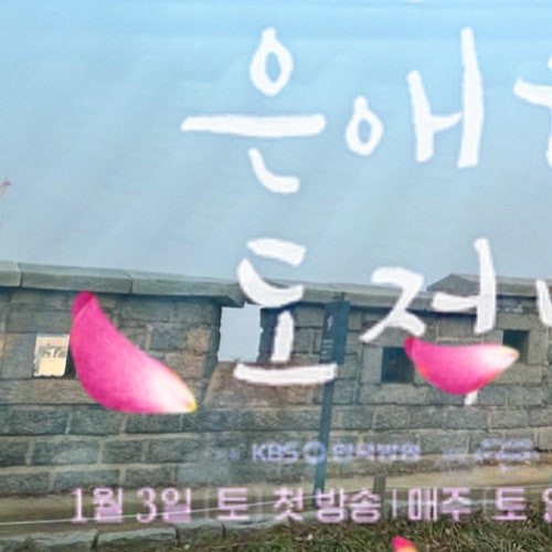 Signature photo of Ha Sungwoon capturing their charm