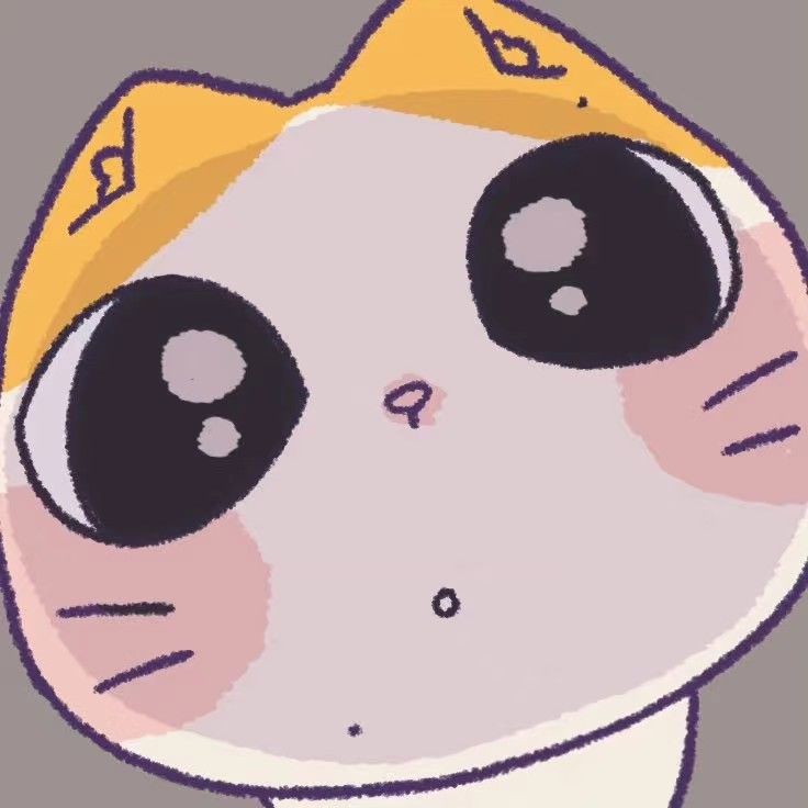 정원 (ENHYPEN) 팬이 찍은 순간