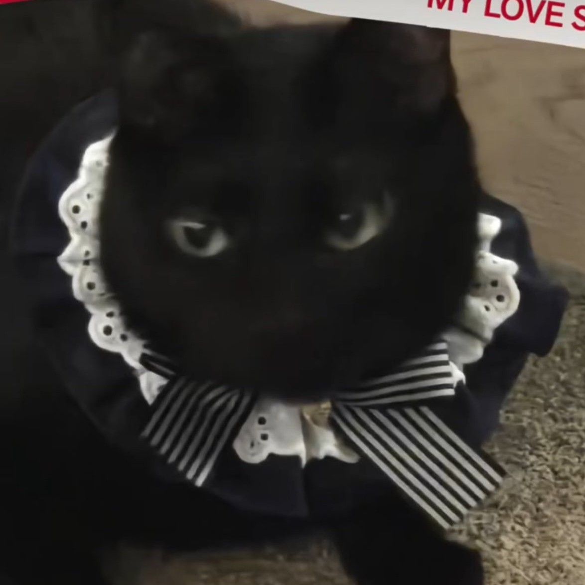 SUGA (BTS)の舞台裏ショット