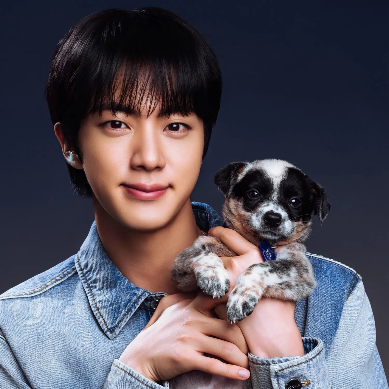 진 (방탄소년단) 팬이 찍은 순간