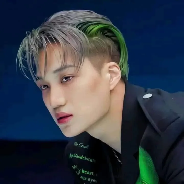 EXO 팬이 찍은 순간